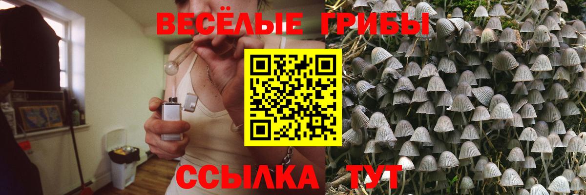 Галлюциногенные грибы MAGIC MUSHROOMS Гагарин